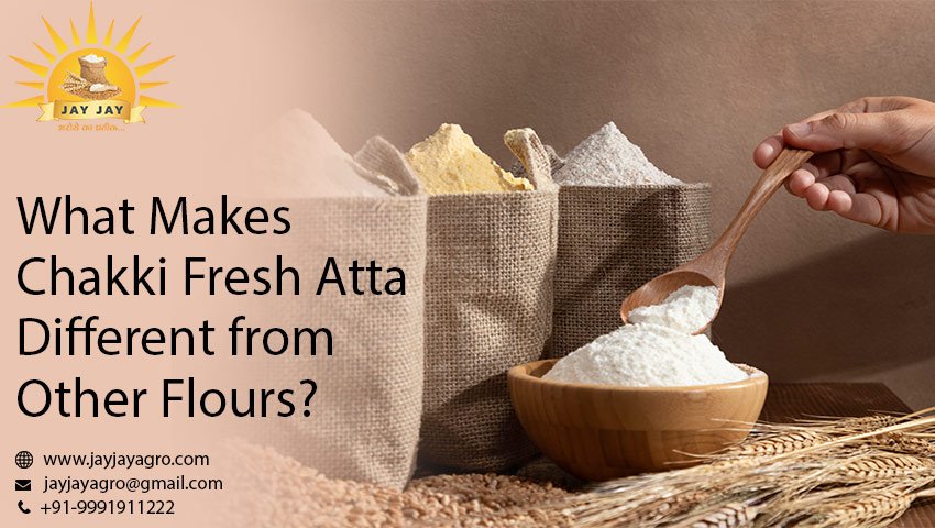 Chakki Fresh Atta Manufacturer in india